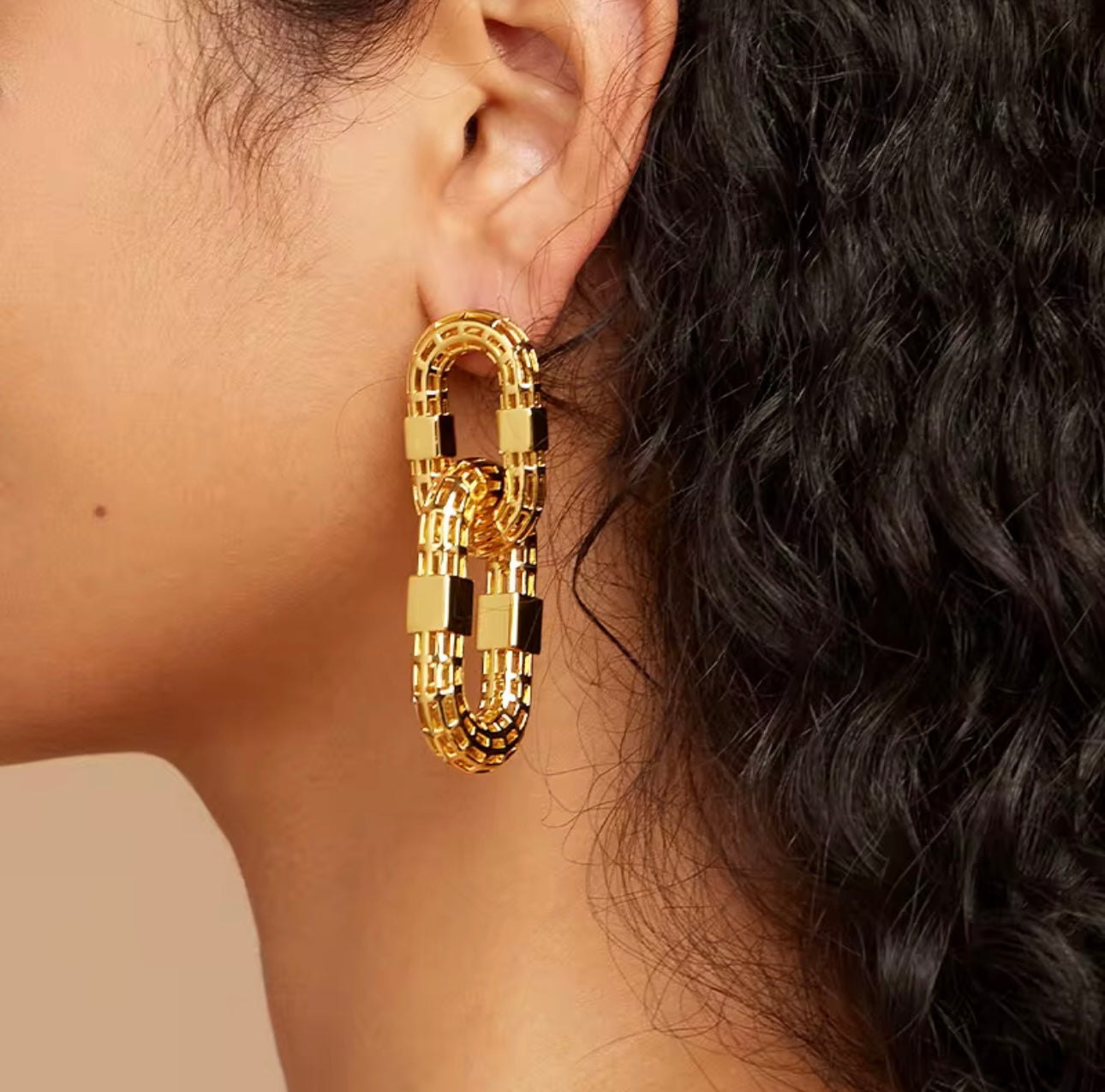 3D Hollow Gold Link Earrings